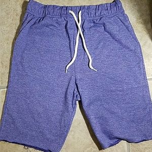 Men BDG purple shorts